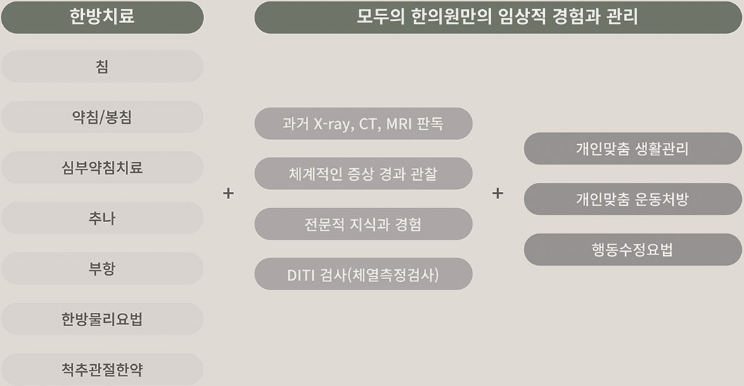척추관절 진료 안내 이미지